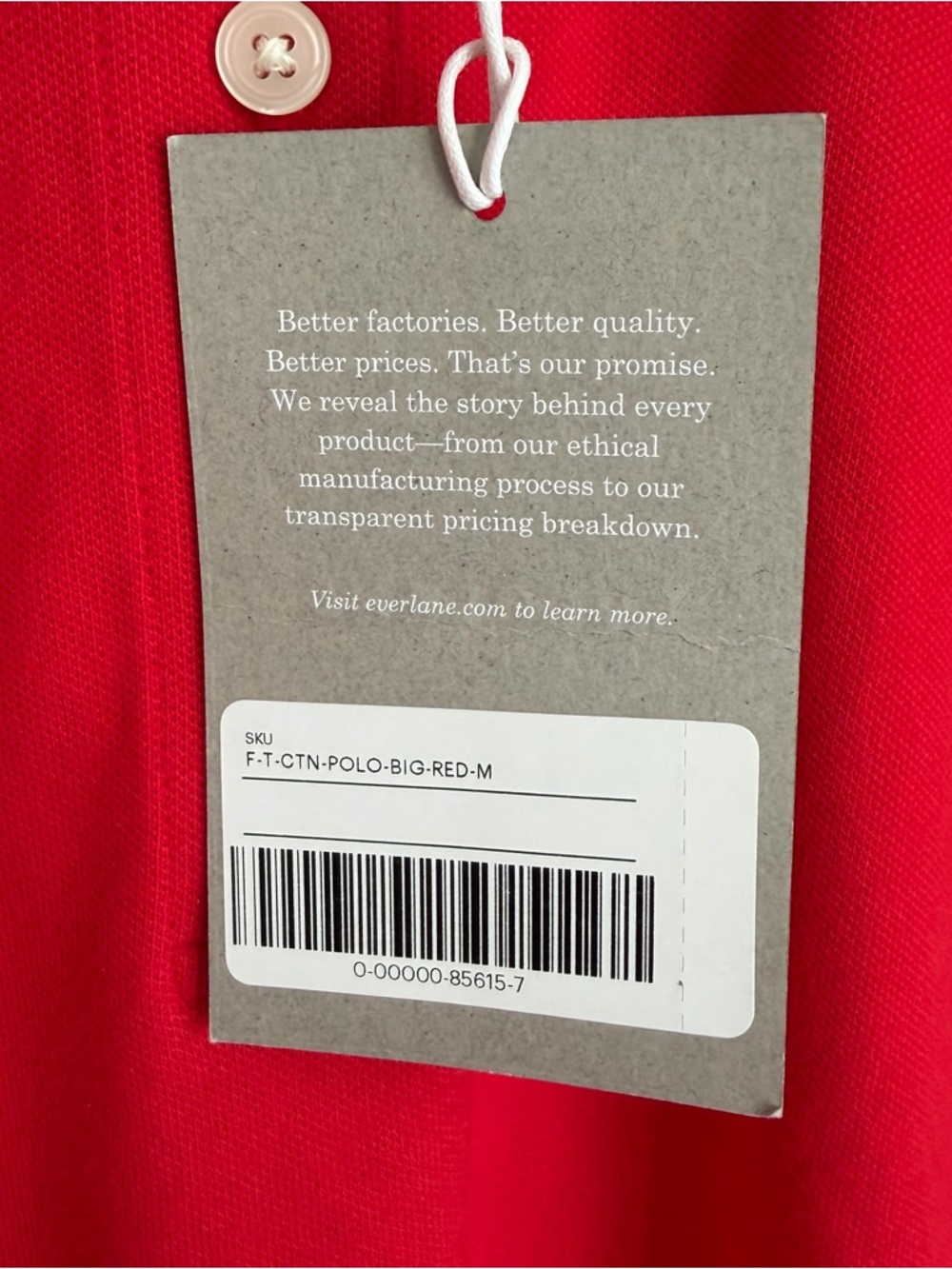 NWT Everlane Short Sleeve Polo Tee - Picture 4 of 5